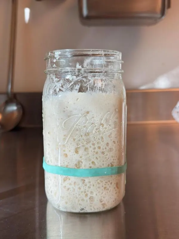 Jar of active, bubbly sourdough starter ready to use